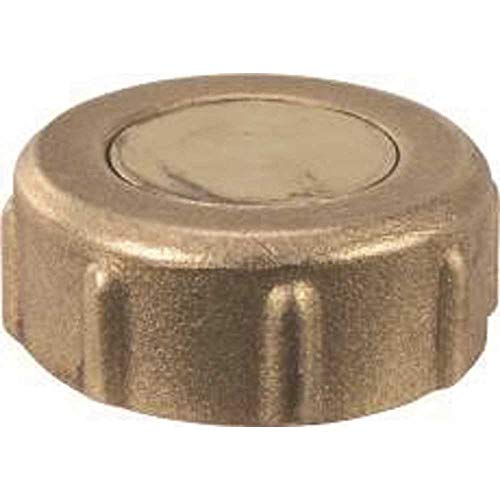 Zurn QTC5FBG QickPort XL Brass 1" Cap, Polymer, 1 piece