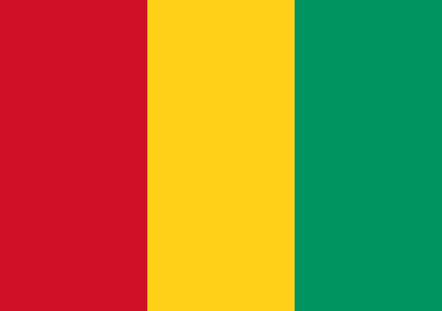 Drapeau Small Guinée format paysage de 0.7m² pour mât extérieur