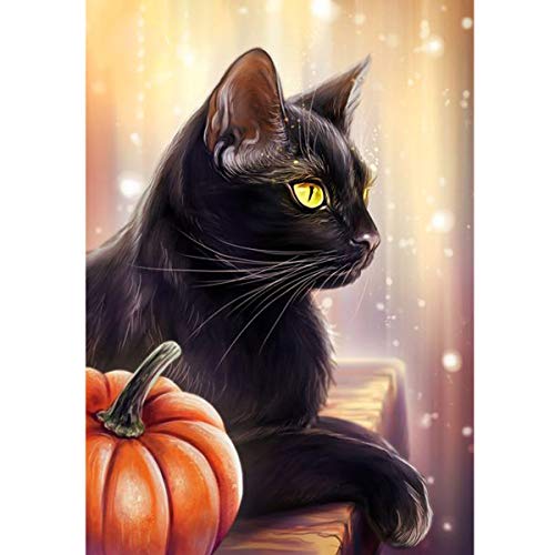 MXJSUA DIY 5D Diamond Painting Cat by Number Kits for Adults, Black Cat Diamond Painting Kits Round Full Drill Diamond Art Kits Pumpkin Lights Picture Arts Craft for Home Wall Art Decor 12x16 Inch