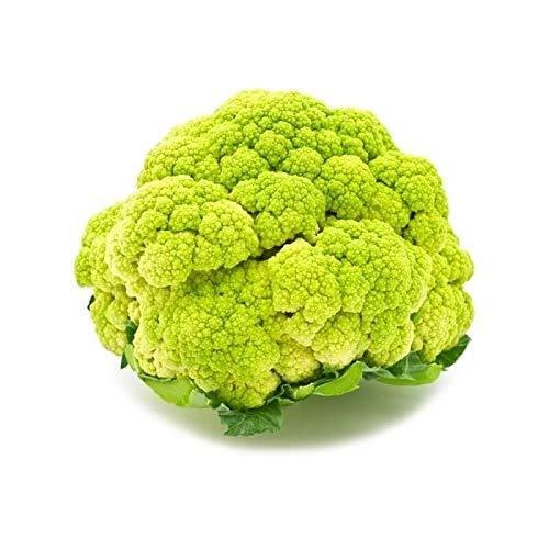 CAVOLFIORE GREEN PROFESSIONAL NR.100 SEMI
