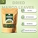 Diyon's Whole Dried Mango Leaves, 1.7oz (50g) Whole Leaf,100% All Naturally Dried - From Sri Lanka | Premium Wildcrafted Quality | Packed In a Kraft Stand Up Resealable Pouch.