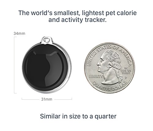 poof Pea Pet Activity Tracker, Black