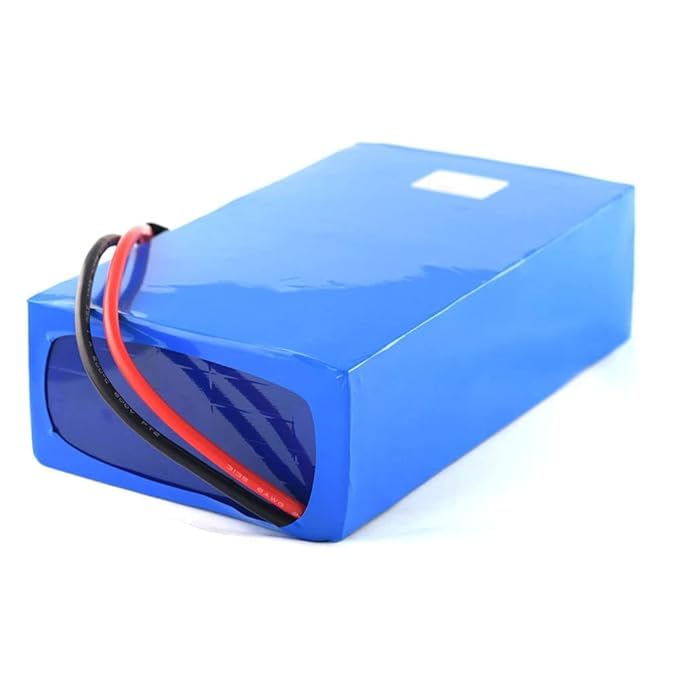 12V 20000Mah Lithium-Ion Rechargeable Battery Pack (12V 20Ah) for Ventilator, E Bike Etc Brand -FOTO POWER-picture-41