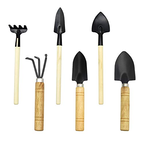 6 Pcs Garden Tools Set for Plant Flowers Succulent Seedlings Potted Tranplanting and Digging, Mini Shovel/Rake/Spade for houseplants Stainless Little Shovel for Little Hands Light Use Outdoor Tool