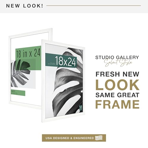 MCS Studio Gallery 18x24 Poster Frame White Woodgrain, Vertical & Horizontal Wall Hanging Large Picture Frame for Photos, Posters & Art Prints (2-Pack)