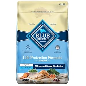 Blue Buffalo Life Protection Formula Puppy Dry Dog Food with DHA and ARA, Made with Natural Ingredients, Chicken & Brown Rice Recipe, 15-lb Bag