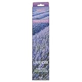 Hosley 40 Pack Incense Sticks – Lavender – Perfect for Home, Meditation & Aromatherapy