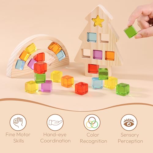Image of Woodtoe Wooden Building Blocks Set for Kids, Rainbow & Tree Wood Frame - 24 PCS Acrylic Gem Cubes Stacking Blocks, Montessori Stacking Toys, Educational Birthday Toys Gift for Toddlers 3-6