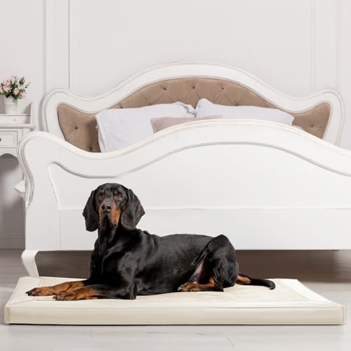 tierlando® Orthopädische Hundematratze Carlos VIP Ortho-Medic Hundematte aus Kunstleder und Velours mit Visco Memory Foam, Größe: 80x60cm | Farbe: 05 Creme