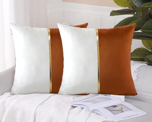 Image of HIMS Velvet Sofa Pillow Cover Set of 2, Luxury Cushion Cover 16 inch x 16 inch for Decorative Living Room Sofa Bedroom Car (16x16 Inch, Brown)