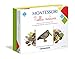 Clementoni 16247, Montessori, Nella Natura, Made in Italy, Gioco Montessori 4 anni, Gioco Educativo Metodo Montessoriano (Versione in Italiano), Tessere Illustrate