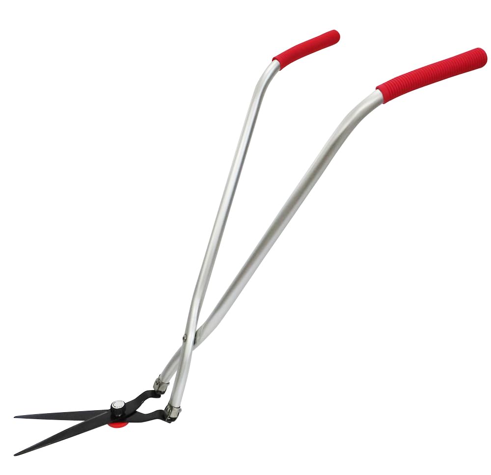 まいママ さまざまな乗り物に乗りました