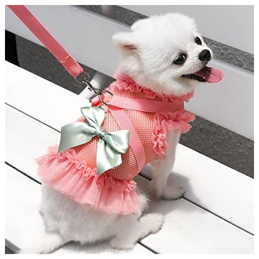 XIAOJIA Cachorro Perro Gato Ropa arnés Conjunto de Correa arnés para Mascotas Chaleco Vestido para Perros pequeños medianos Gatos Chihuahua Perros Gato Falda Suministros para Mascotas-Rojo, XS