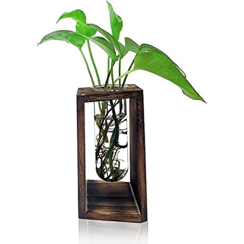 Plant Terrarium Transparent Desktop Glass Planter Test Tube Vase with Retro Solid Wooden Stand for Hydroponics Plants Home Garden Wedding Decor Cover
