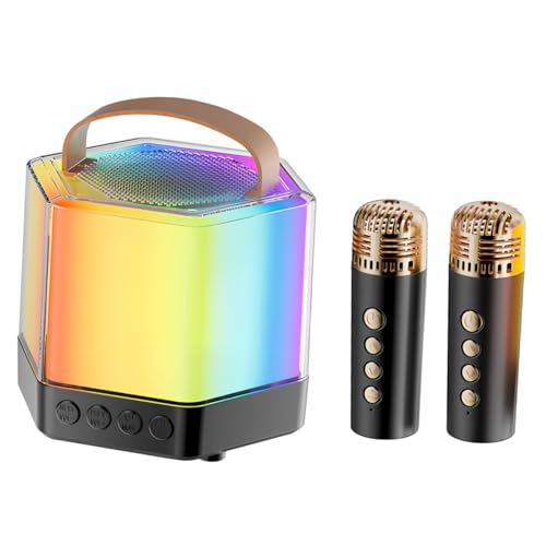 Karaoké Portable Q7 Sans Fil sans Câble Encombrant - Mini Enceinte Noire Double Micro Fête
