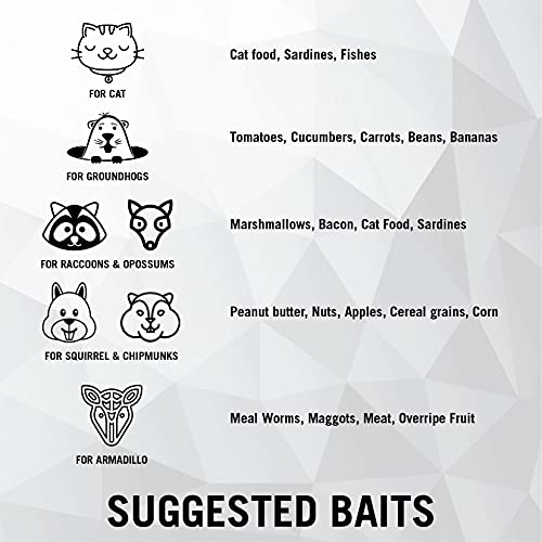 Homestead Heavy Duty Live Trap - Professional Style One-Door Live Animal Traps For Rabbit, Squirrel, Possum, Skunk, Kitten, Mink #TOP6