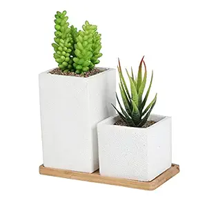Nattol Artificial Faux Succulents in Square Shaped White Cement Pot with Saucer for Office and Home Decor, Set of 2