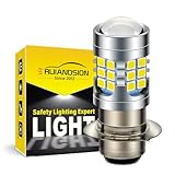 Ruiandsion H6M Light Bulb DC 6V P15D-25-1 Super Bright 2835 30SMD Chips P15D Motorcycle Light Bulb with High Low Beam,White