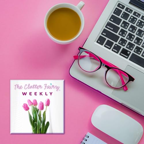 Special Guest: Karen Baker on Productivity, Routines, and More - The Clutter Fairy Weekly #301