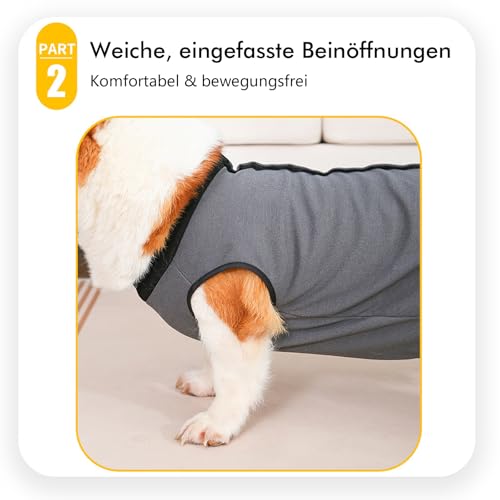 InfiniZer Hundebody Nach Op Hündin Kastration Hündin Rüde Operationsbody Hund Body Nach Op Body Hund Shirt Leckschutz Wundschutzanzug für Hunde Einteiler Schlafanzug (Grau, XL)