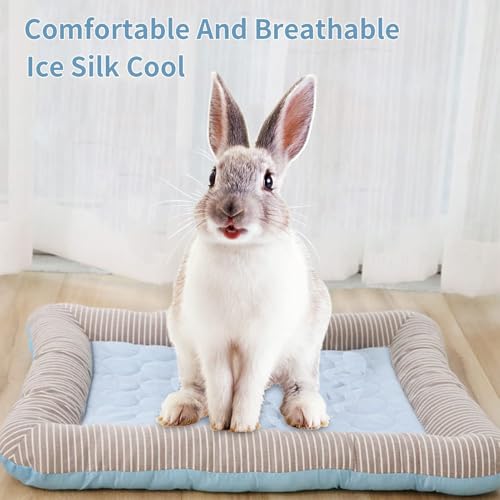Tapis rafraîchissant pour chien coussin glacé chiot chat résistant