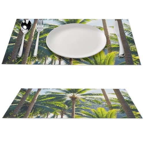 Sets de table lavables antidérapants pour protéger la table des taches - 2