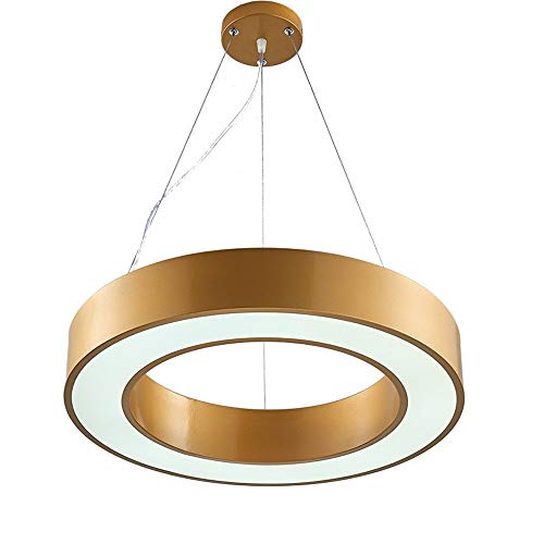 Lumière de décoration LED ronde pour salon et grand bureau