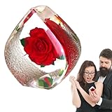 Generico Animal de marino - realista de raza 50x25x8 cm, suave | Muñeca educativa para un regalo de comodidad ideal para todas las edades, cumpleaños, vacaciones, días especiales