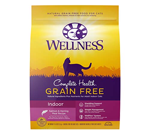 wellness complete health indoor cat food