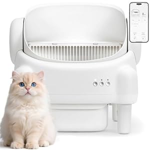 Automatic Cat Litter Box,Self Cleaning Litter Box for Multiple Cats with Open Top Design, App Control, Safety Protection, Ultra-Quiet，Easy Setup，Gray