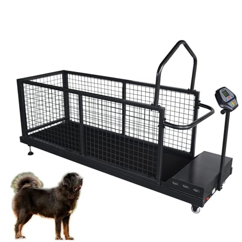 Expert Tips for Dog Treadmill Training