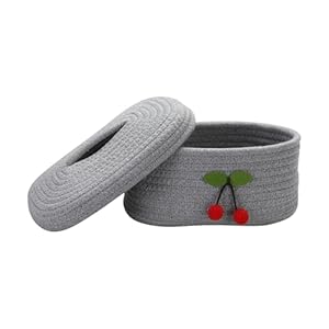 HIFEASTS Korb mit Deckel 2er Pack Grau