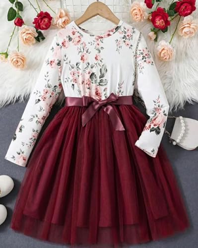 Image of Tior Baby-Girls Girls Dress | Dresses for Girl| Kids Frock for Kids|