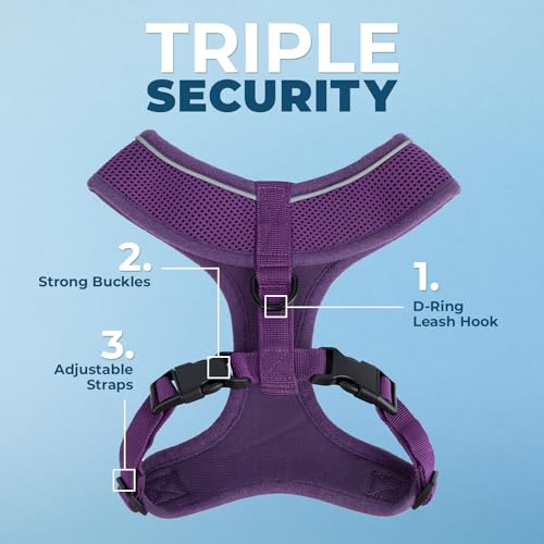 Image of Best Pet Supplies Voyager Aerolite Over the Head Dog Harness, No Pull Breathable Air Mesh Vest, Quick Dry with Reflective Stitching, Adjustable Escape Resistant Harness - Purple, Medium