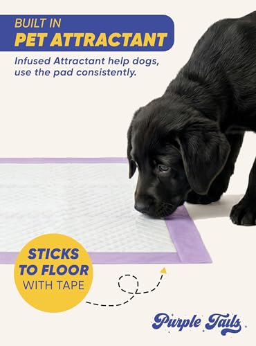Image of Canada Pet Training Pads with Adhesive Tape - 8 Layers Super-Absorbent Pee Pads with Built in Pet Attractant for Dogs - Leakproof Pee Pads - Small, Medium Dog Pee Pads (10, 45x60 cm)