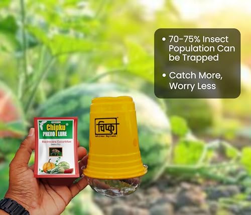 Image of Chipku Melon Fly Glass Trap & Lure Pack of 5 Traps for Garden & Agriculture to Control Bactocera Cucurbit|Melonfly Trap for Watermelon,Pumpkin & All Gourd Crop Pheromone Trap for Guaranteed Results