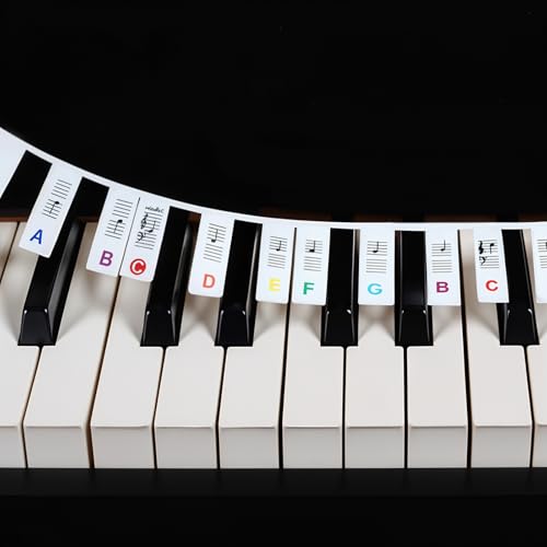 JIYIN Removable Piano Keyboard Note Labels, 61 Key Full Size