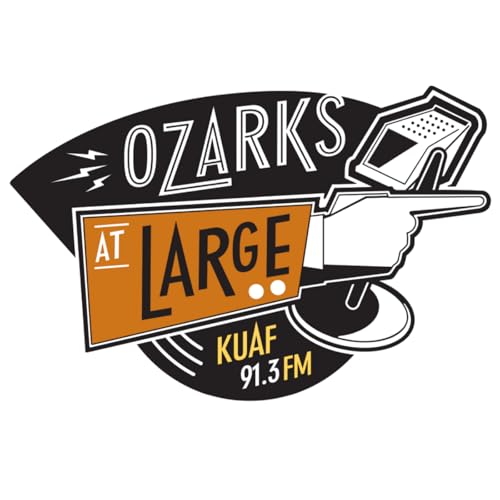 Fulbright College's updated vision &mdash; Exploring Special Collections Podcast Por  arte de portada