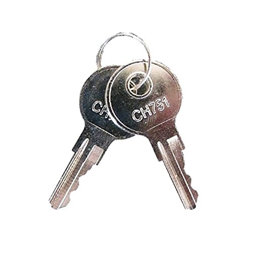 Pyramid Time Clock Replacement Keys, 3500, 3550SS, 3600SS, 3700, 4000, 4000Pro, 4000HD, 5000, 5000HD, 2/Pack (41479K)