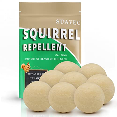 Best chipmunk repellents Our Favorite of 2022 licorize