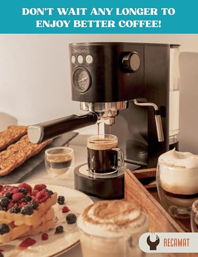 RECAMAT® - 2 PIEZAS - Juntas Portafiltro Cecotec Cafelizzia Cumbia 790/890/Pro/Steel/Steel Pro/Steel DUO/Shiny Pro/Fast/Fast Pro. Recambio Cafetera Duradero Repuesto Resistente al Calor