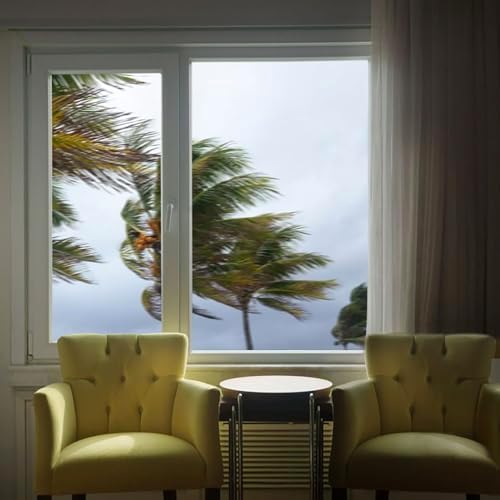 BDF S8MC Window Film Security and Safety 8 Mil Clear - 12in X 49ft