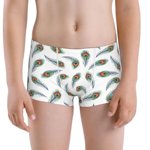 Boys' Cotton Boxer Brief Soft Underwear-Colorful Grass