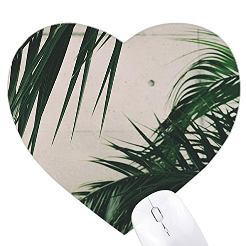 ʐ^̗t̐A̐ n[g^}EXpbhSpbh