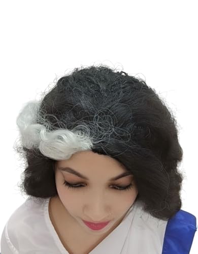 Image of BookMyCostume Indira Gandhi Wig for Girls and Women Fancy Dress Costume Accessory - Black /Grey