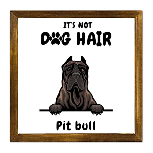 Poils de chien partout ? Adoptez ce panneau bois Pit Bull humour pour vos murs