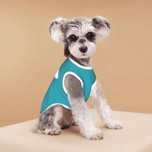 Image of Personalized Dog Shirt, Custom Dog Clothes for Small Dogs, Customized Chihuahua Clothes, Custom Shirts for Dogs, Chihuahua Accessories, Puppy Essentials Girl, Puppy Gift Birthday Party