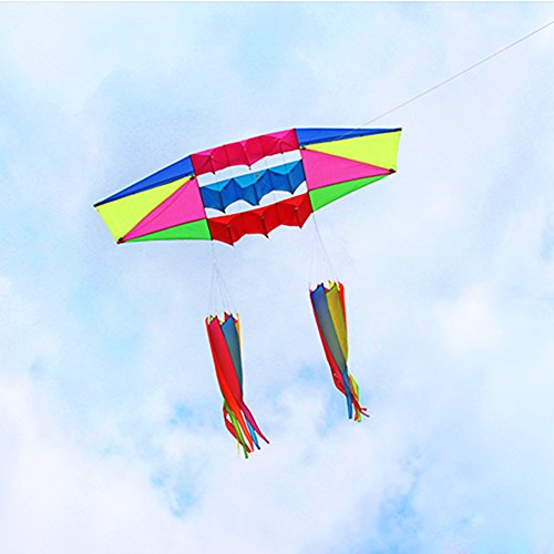 Besra Huge 98inch Single Line 3D Radar Kite with Flying Tools 2.5m Power Box Kites with 2 Windsock Tails Outdoor Fun Sports for Adults (windsock)