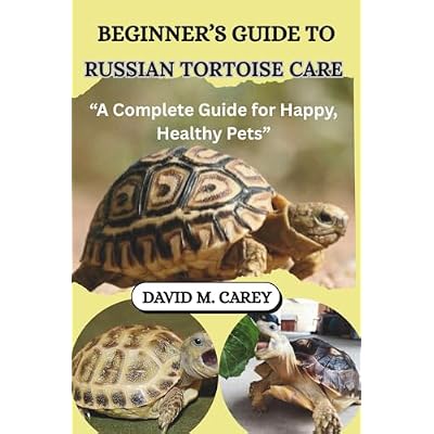 BEGINNER&rsquo;S GUIDE TO RUSSIAN TORTOISE CARE
