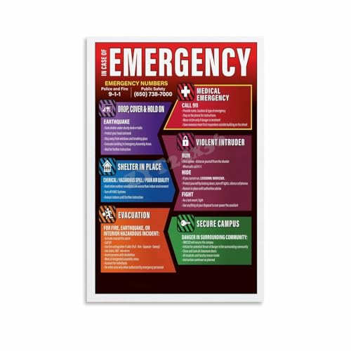 Campus Emergency Action Plan Infographic Poster College Safety Educational Wall Art Canvas Painting Wall Art 16x24inch(40x60cm) Unframe-style